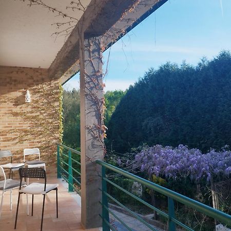 Casa Campo Ao Rio_Village Barcelos Εξωτερικό φωτογραφία