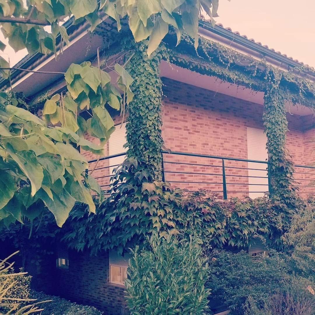 Casa Campo Ao Rio_Village Barcelos Εξωτερικό φωτογραφία