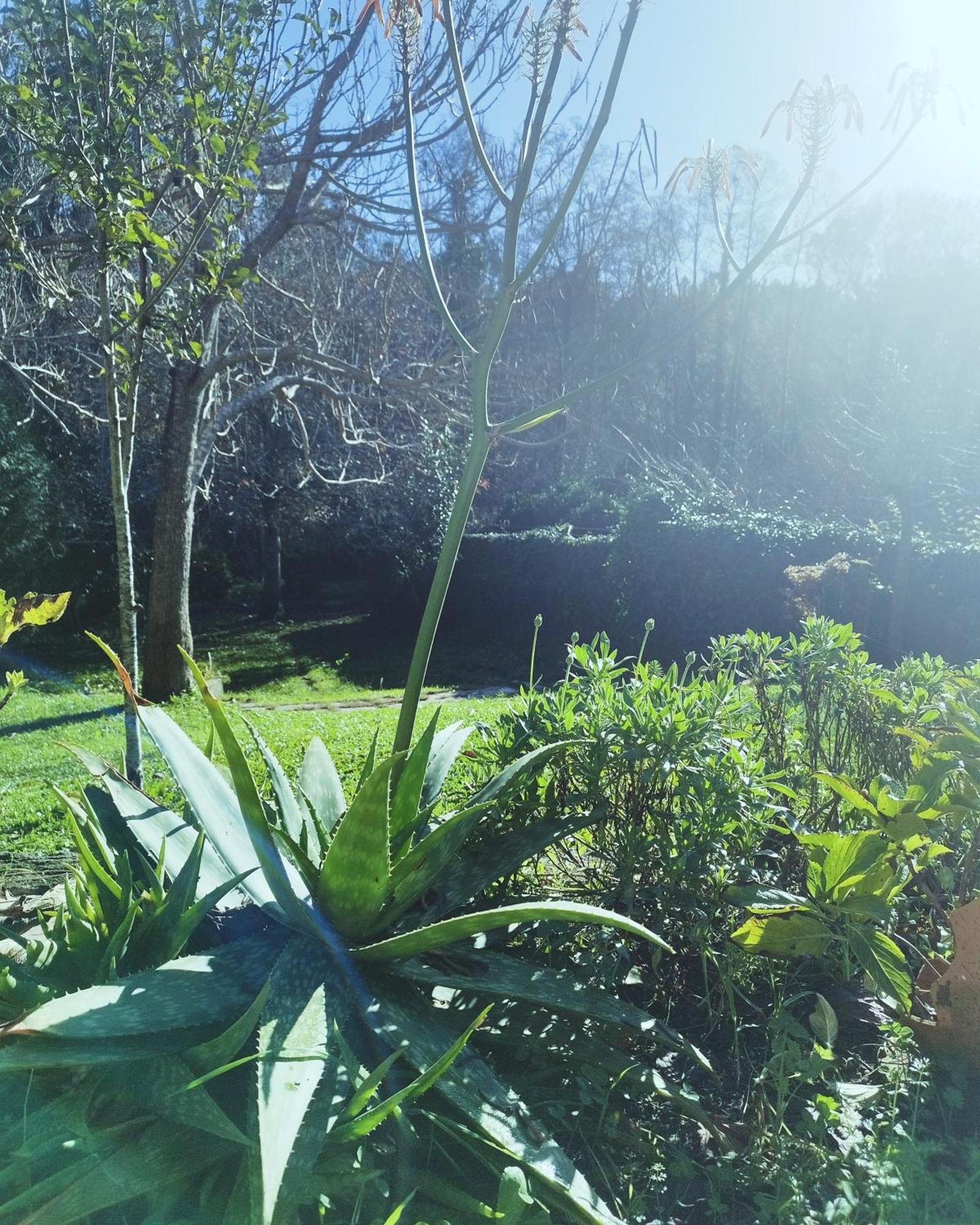 Casa Campo Ao Rio_Village Barcelos Εξωτερικό φωτογραφία