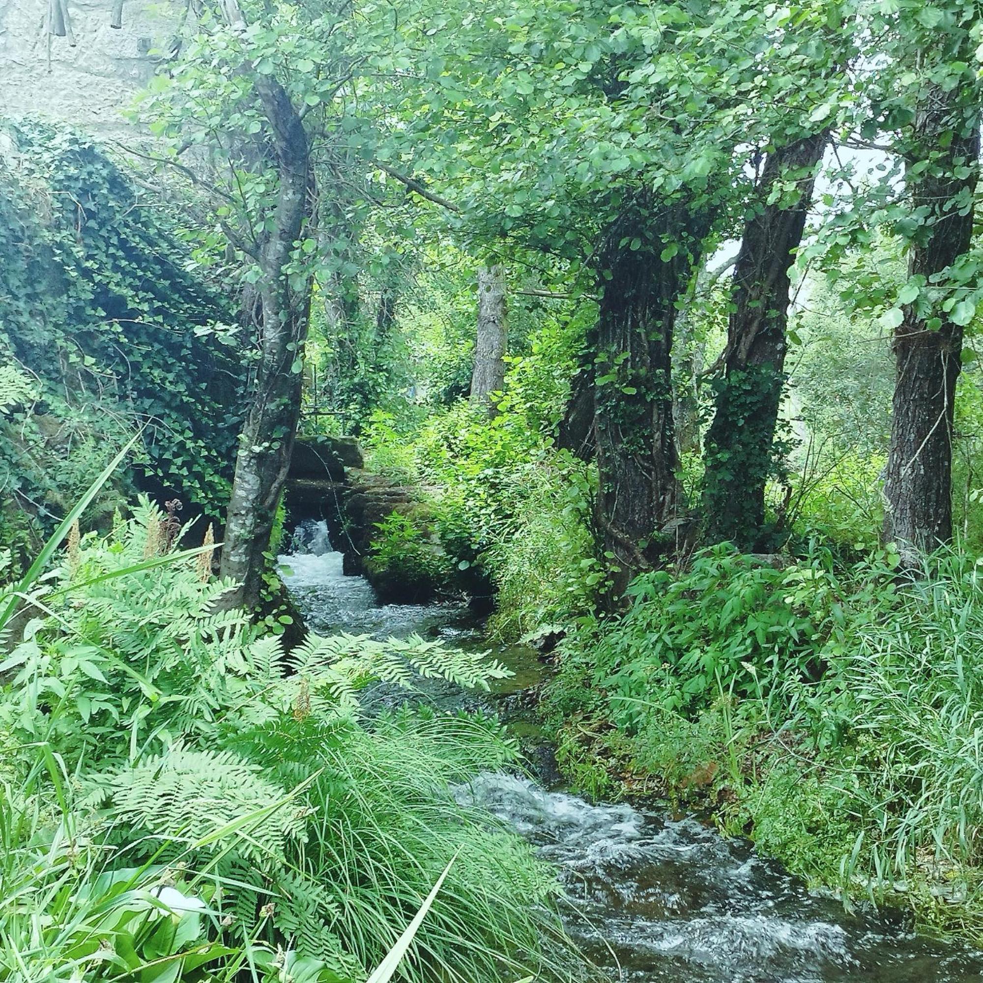 Casa Campo Ao Rio_Village Barcelos Εξωτερικό φωτογραφία